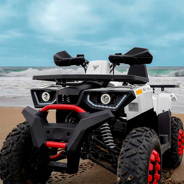 Cuatrimotos Utilitarias Braves 200 de Tao Motor Perú cuatrimotos utilitarias braves 200 tao motor peru