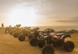 Tao Motor: ¿La mejor opción del mercado?