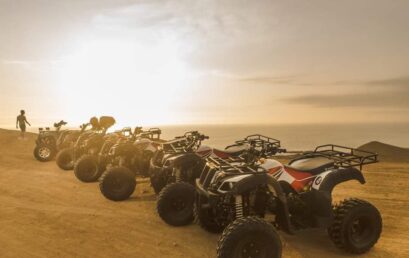 Tao Motor: ¿La mejor opción del mercado?
