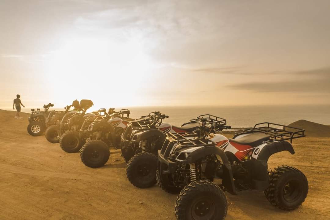 Tao Motor: ¿La mejor opción del mercado? Tao Motor: ¿La mejor opción del mercado?
