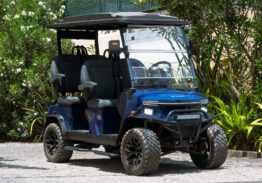 Carritos de Golf Denago de Tao Motor, ¡La mejor opción dentro del mercado!