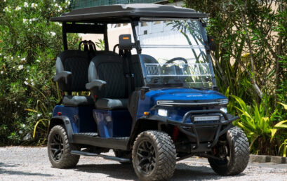 Carritos de Golf Denago de Tao Motor, ¡La mejor opción dentro del mercado!